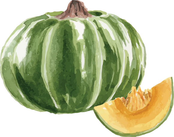 Watercolor Green Pumpkin